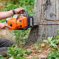 Pracownik w pomarańczowej kamizelce wykonuje wycinkę drzew na działce, używając piły łańcuchowej.