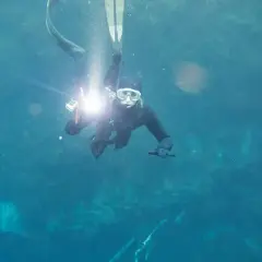 Spawacz podwodny z latarką oświetla mroczne głębiny.