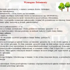 Jak uzasadnić wniosek o wycięcie drzewa, aby uniknąć problemów?