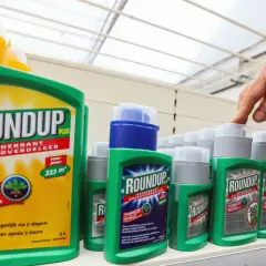 Butelki Roundup na półce sklepowej. Na etykiecie dużej butelki podano "voor 333 m²", co sugeruje, ile roundupu na 1l wody potrzeba do oprysku.