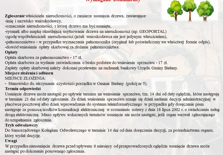 Jak uzasadnić wniosek o wycięcie drzewa, aby uniknąć problemów?