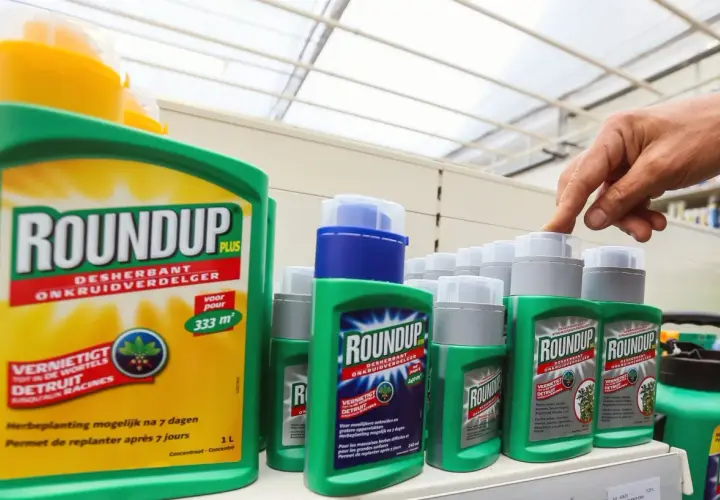 Butelki Roundup na półce sklepowej. Na etykiecie dużej butelki podano "voor 333 m²", co sugeruje, ile roundupu na 1l wody potrzeba do oprysku.