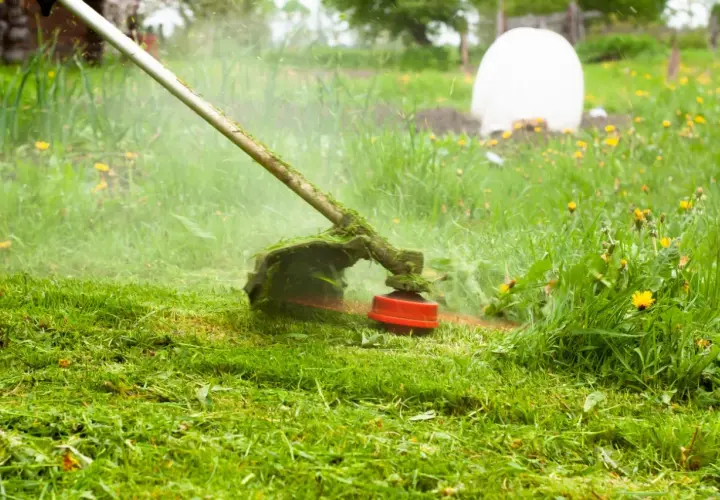 Kosiarka akumulatorowa w akcji, idealna do tworzenia rankingu podkaszarek akumulatorowych.