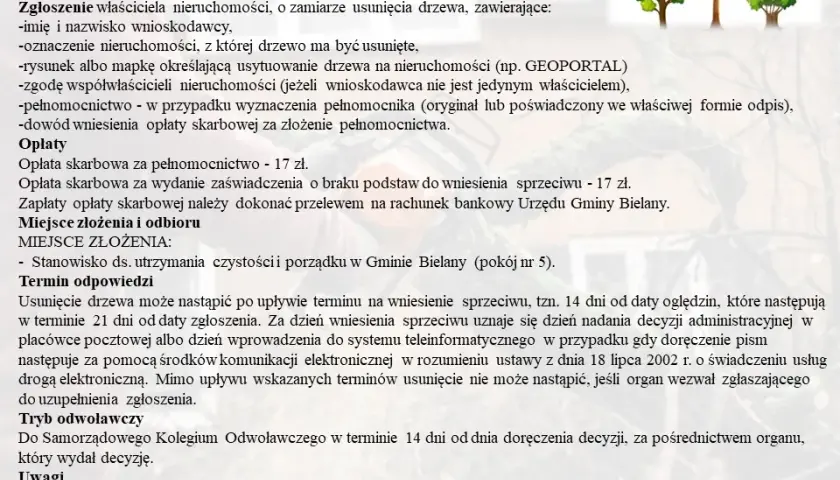 Jak uzasadnić wniosek o wycięcie drzewa, aby uniknąć problemów?