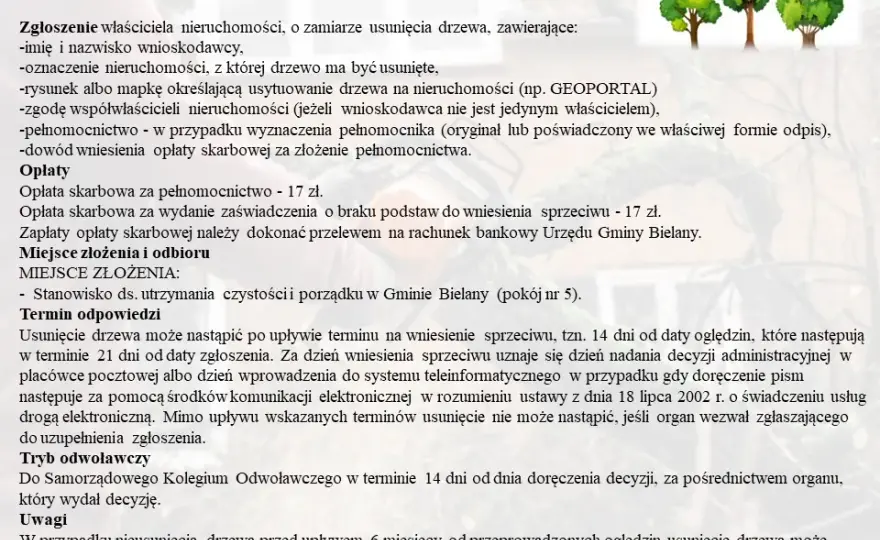 Jak uzasadnić wniosek o wycięcie drzewa, aby uniknąć problemów?