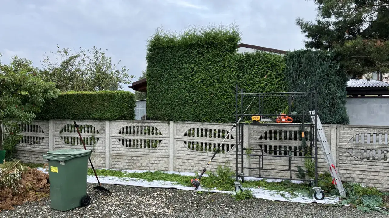 Przygotowania do przycinania żywopłotu. Widać narzędzia do pracy, jak formować tuje, oraz zielony kontener na odpady.