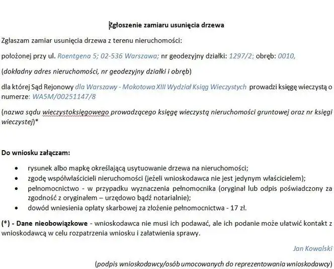 Zdjęcie Jak zgłosić wycinkę drzew i uniknąć problemów z prawem