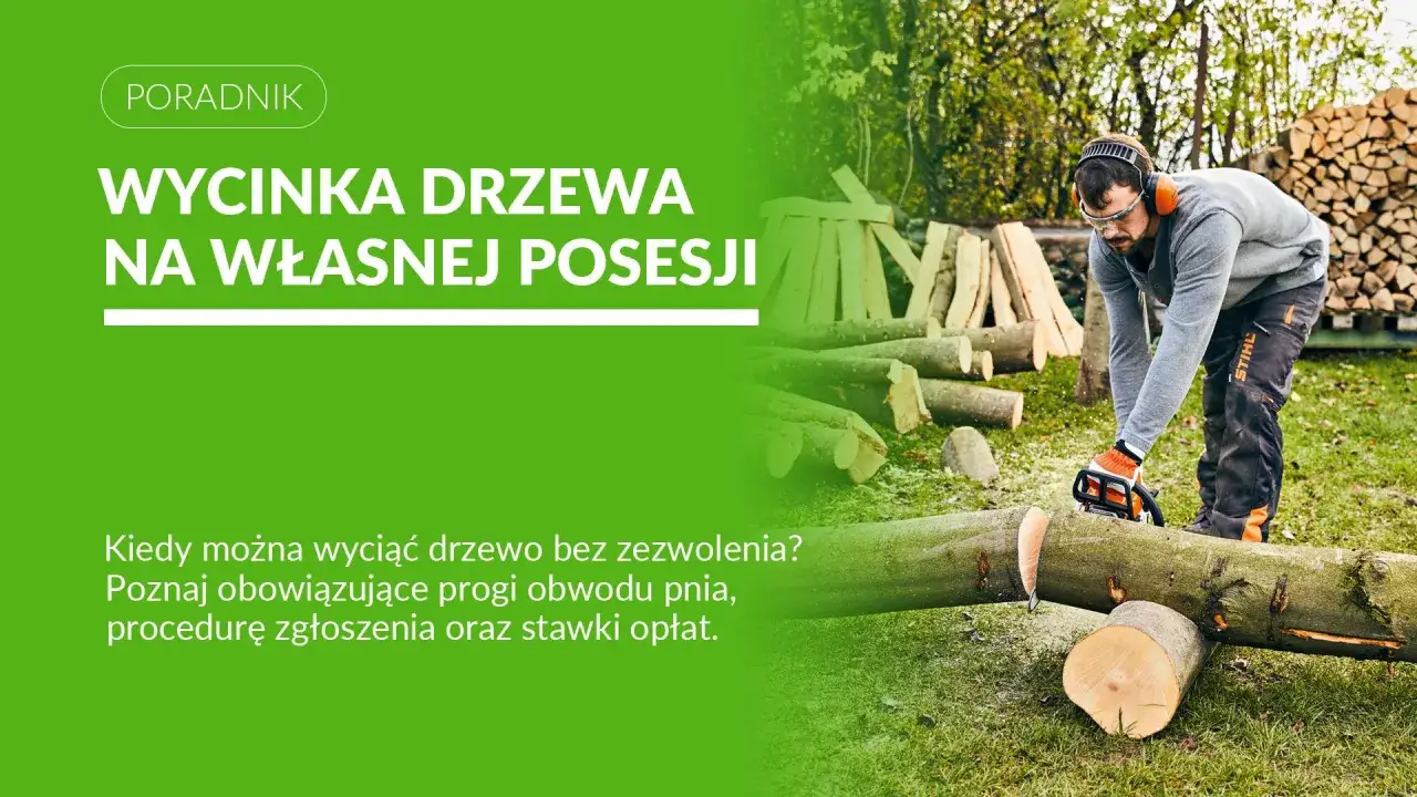 Mężczyzna w ochronnym ubraniu wykonuje wycinkę drzewa na własnej posesji, używając piły łańcuchowej.